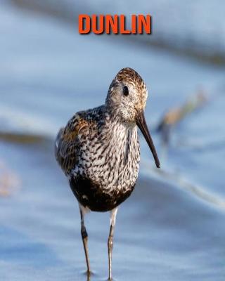Book cover for Dunlin