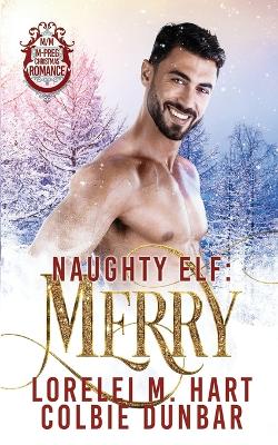 Book cover for Naughty Elf