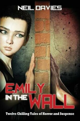 Cover of Emily in the Wall