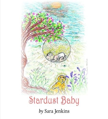 Book cover for Stardust Baby