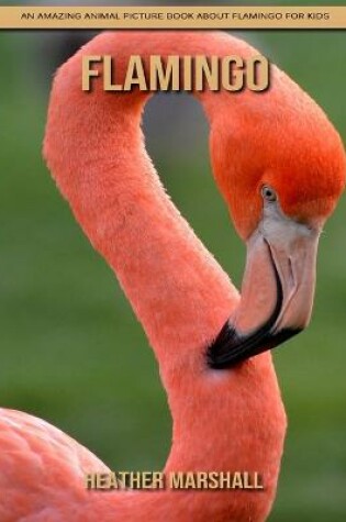 Cover of Flamingo