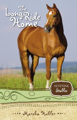 Book cover for The Long Ride Home