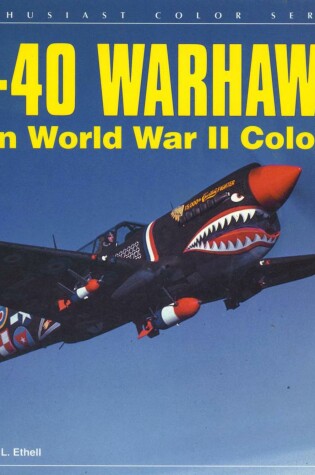 Cover of P-40 Warhawk in World War II Color