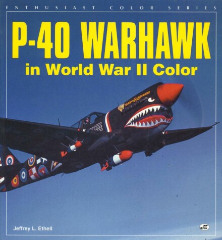 Cover of P-40 Warhawk in World War II Color