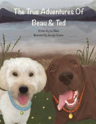 Book cover for The True Adventures of Beau and Ted