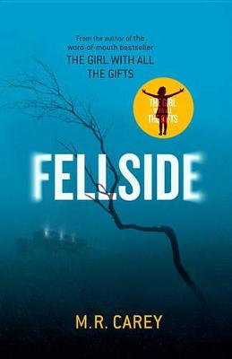 Book cover for Fellside