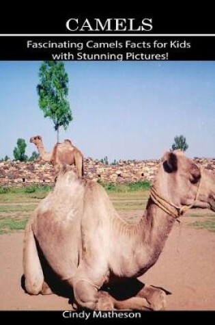 Cover of Camels