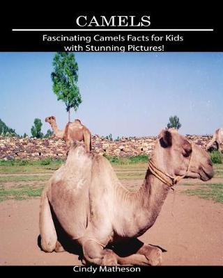 Book cover for Camels