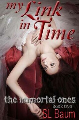 Cover of My Link in Time