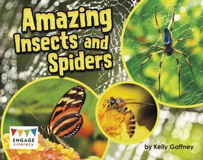 Book cover for Amazing Insects and Spiders