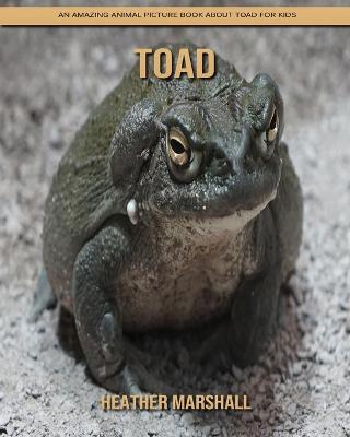Book cover for Toad