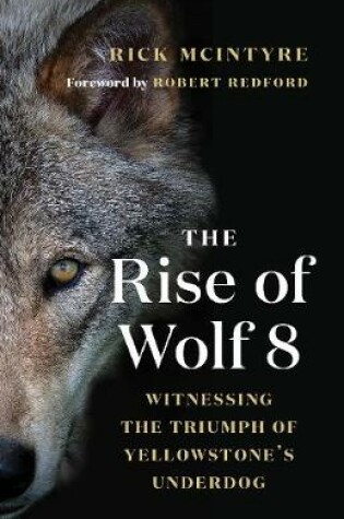 Cover of The Rise of Wolf 8