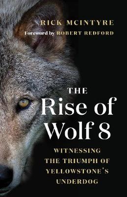 Book cover for The Rise of Wolf 8