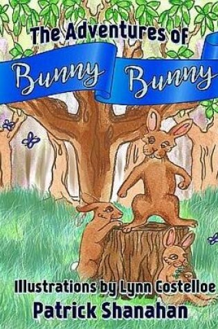 Cover of The Adventures of Bunny Bunny