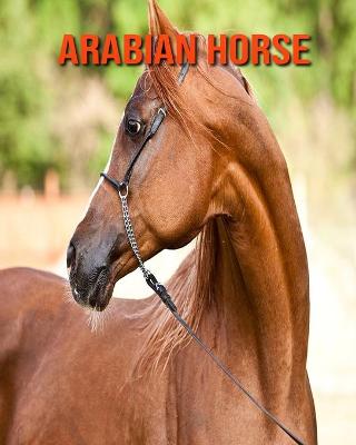 Book cover for Arabian Horse