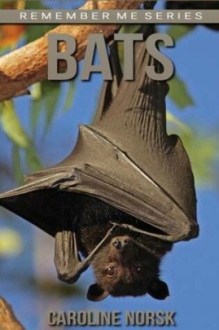 Cover of Bats