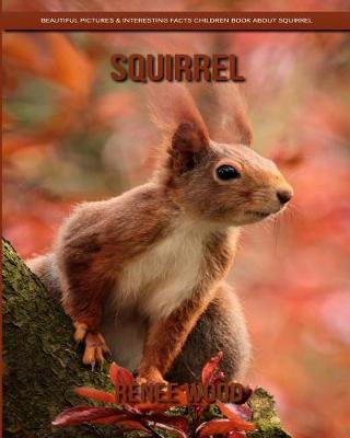 Book cover for Squirrel