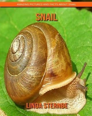 Book cover for Snail