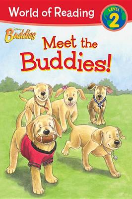 Book cover for Disney Buddies Meet the Buddies