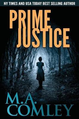 Book cover for Prime Justice