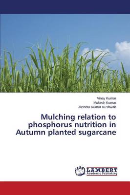 Book cover for Mulching relation to phosphorus nutrition in Autumn planted sugarcane