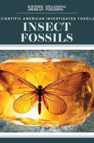 Cover of Insect Fossils