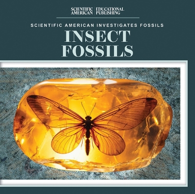 Cover of Insect Fossils