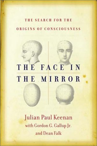 Book cover for The Face in the Mirror