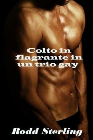 Cover of Colto in flagrante in un trio gay