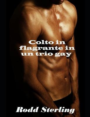 Book cover for Colto in flagrante in un trio gay