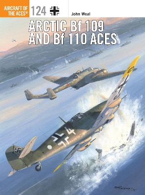 Book cover for Arctic Bf 109 and Bf 110 Aces