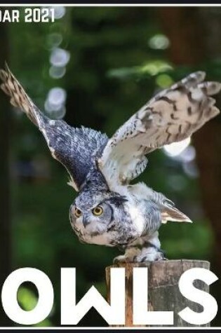 Cover of Owls Calendar 2021