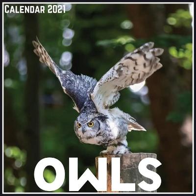 Book cover for Owls Calendar 2021