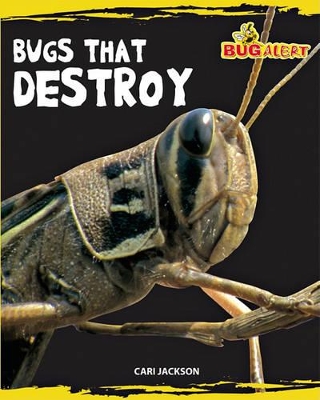 Book cover for Bugs That Destroy