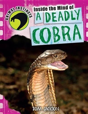 Book cover for Inside the Mind of a Deadly Cobra