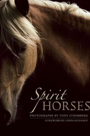 Cover of Spirit Horses