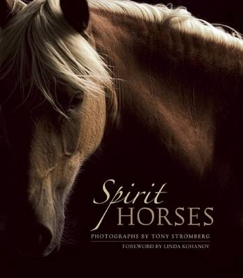 Cover of Spirit Horses