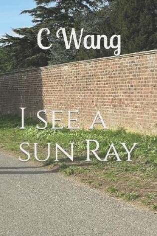 Cover of I see a sun Ray