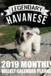 Book cover for Legendary Havanese 2019 Monthly Weekly Calendar Planner