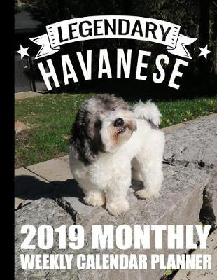 Cover of Legendary Havanese 2019 Monthly Weekly Calendar Planner