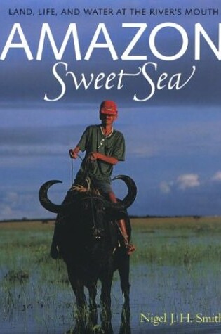 Cover of Amazon Sweet Sea