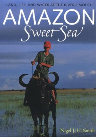 Book cover for Amazon Sweet Sea