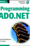 Book cover for Programming ADO.NET