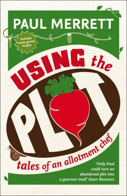 Book cover for Using the Plot