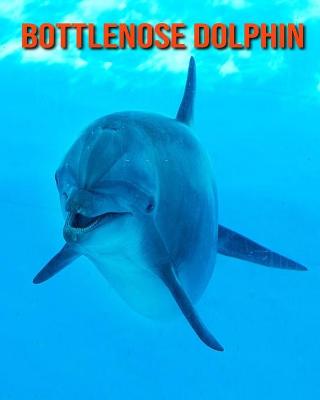 Book cover for Bottlenose Dolphin