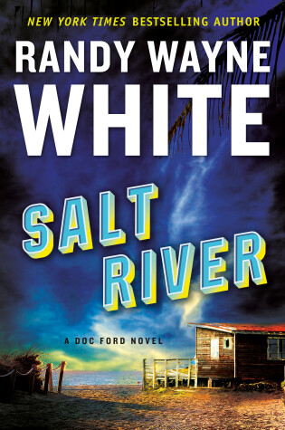 Book cover for Salt River