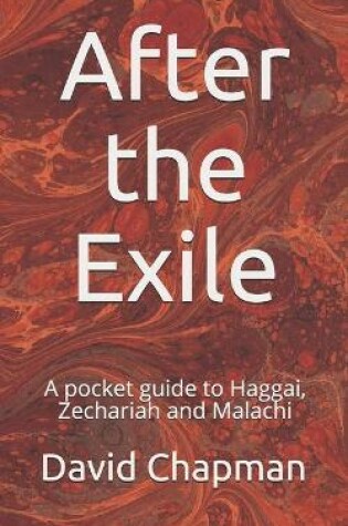 Cover of After the Exile