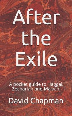 Book cover for After the Exile