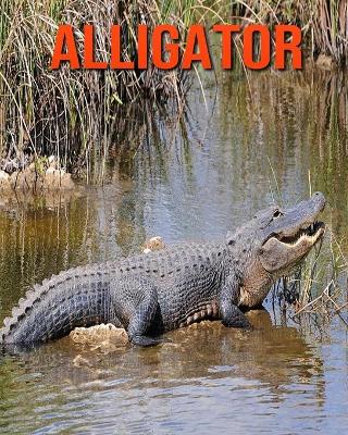 Book cover for Alligator