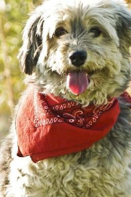 Book cover for Dog In A Scarf Notebook